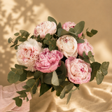 Rêve de pivoines